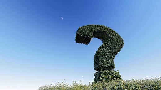 5 Things To Ask A Grounds Maintenance Company Before Hiring Them