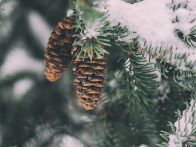 Commercial Grounds Maintenance For The Colder Months