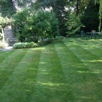 Lawn-treatment--e1461940674244-150x150