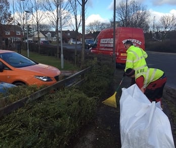 Professional Grounds Maintenance Services: Setting Your Expectations