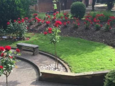 Soft Landscaping