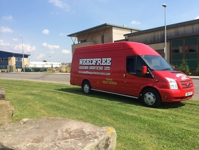 The Importance Of Properly Caring For Your Commercial Grounds