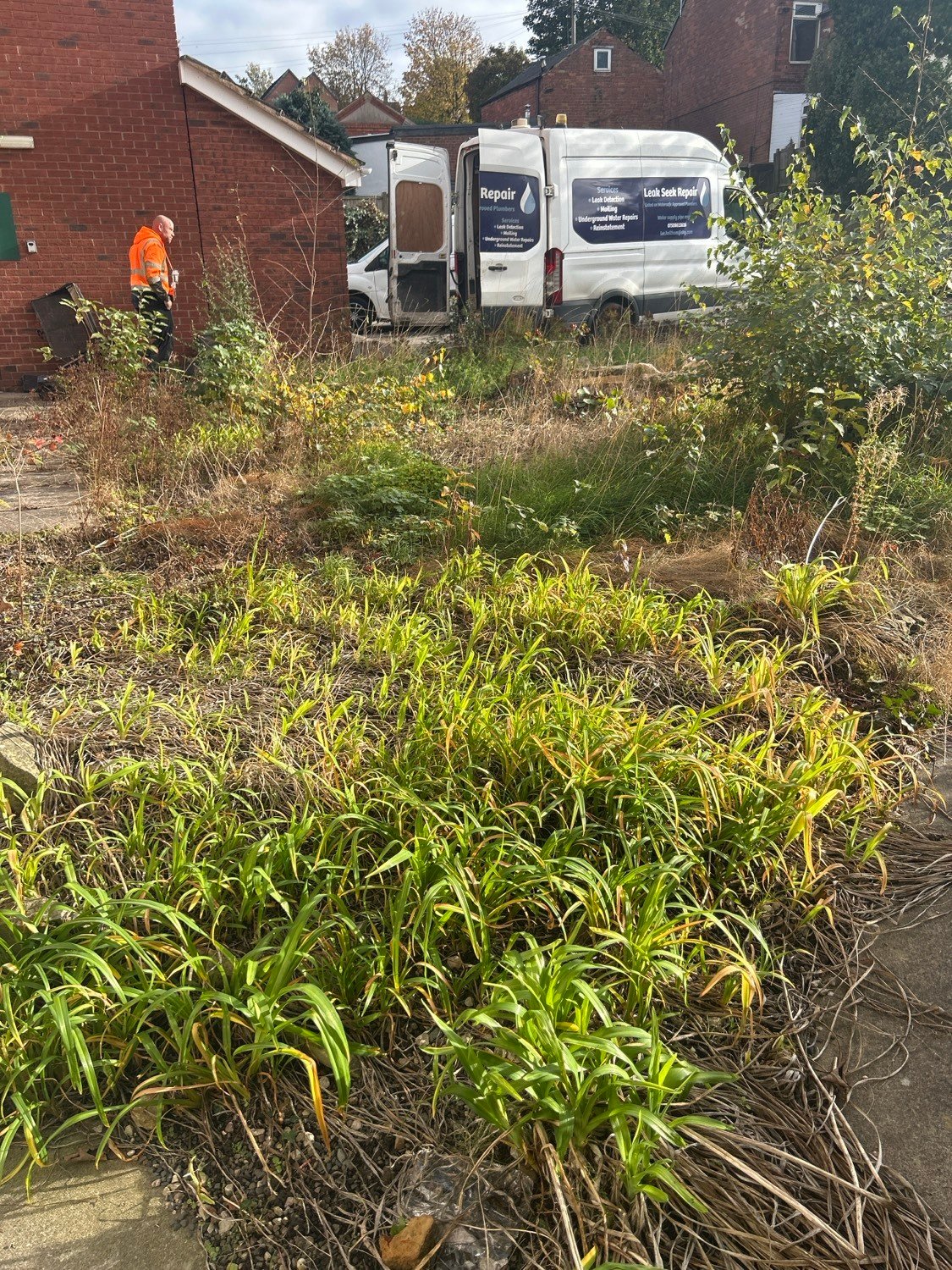 Veg Management