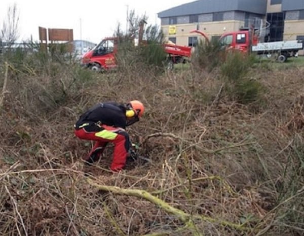 Vegetation-management
