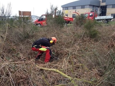 What Services Should Be Included In Your Grounds Maintenance Contract?