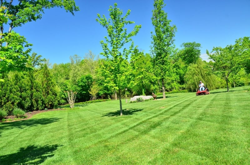 commercial-grounds-maintenance-and-garden-services-spring-nottingham