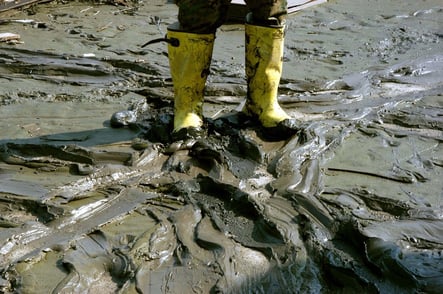 Flood Clean-Up: How To Fix Flooded Business Grounds
