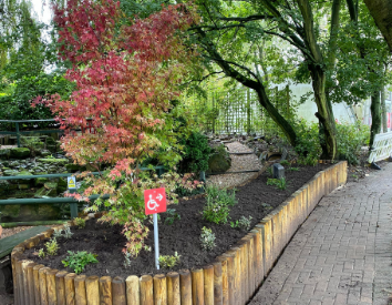 Soft-landscaping-2